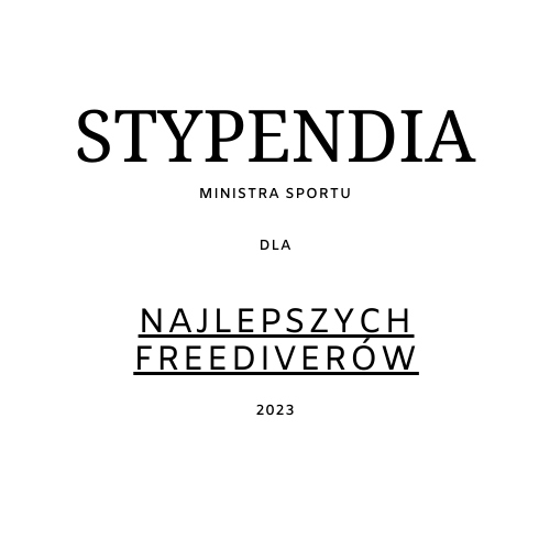 Kolejne stypendia MSiT